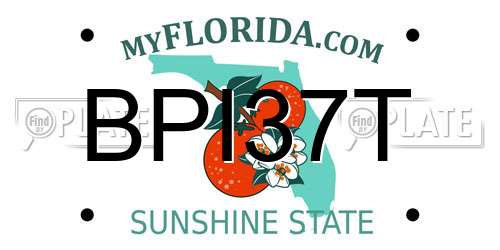 BPI37T Florida License Plate