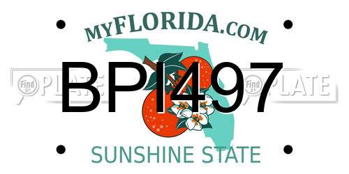 BPI497 Florida License Plate