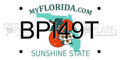 BPI49T Florida License Plate