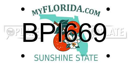 BPI669 Florida License Plate