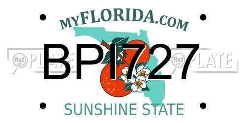 BPI727 Florida License Plate