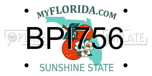 BPI756 Florida License Plate