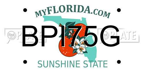BPI75G Florida License Plate