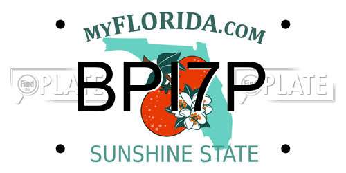 BPI7P Florida License Plate