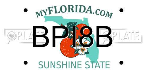 BPI8B Florida License Plate