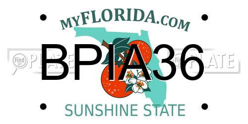 BPIA36 Florida License Plate