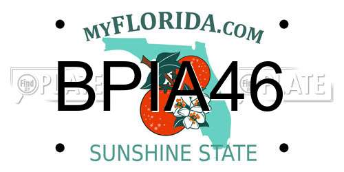 BPIA46 Florida License Plate