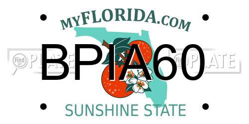 BPIA60 Florida License Plate