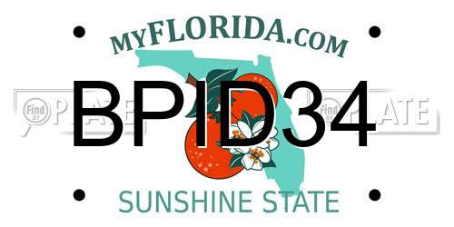 BPID34 Florida License Plate
