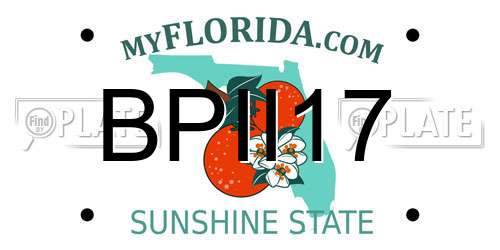 BPII17 Florida License Plate