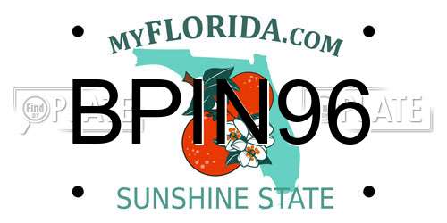 BPIN96 Florida License Plate