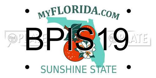 BPIS19 Florida License Plate