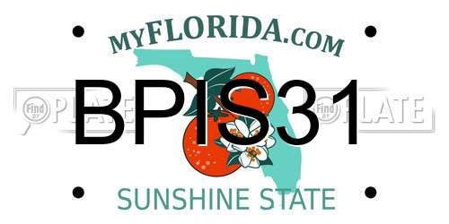 BPIS31 Florida License Plate