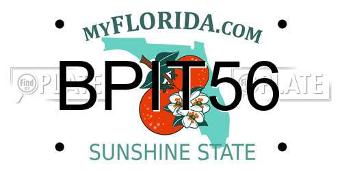 BPIT56 Florida License Plate