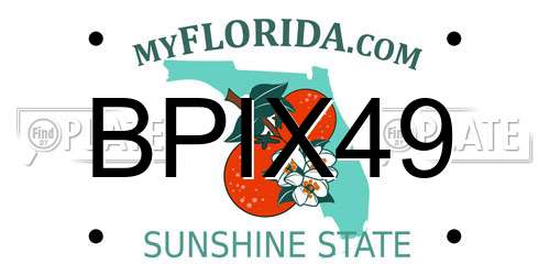 BPIX49 Florida License Plate