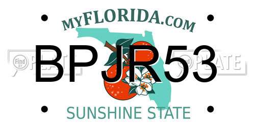 BPJR53 Florida License Plate