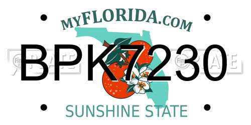 BPK7230 Florida License Plate