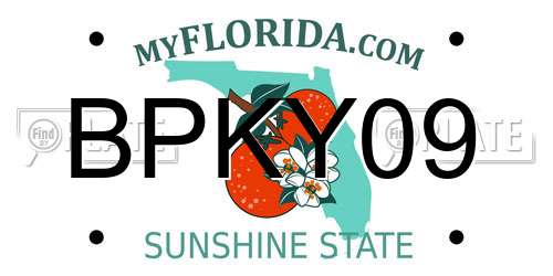 BPKY09 Florida License Plate