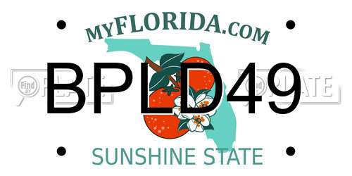 BPLD49 Florida License Plate