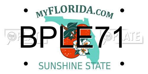 BPLE71 Florida License Plate