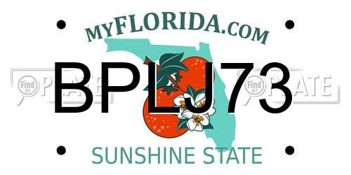 BPLJ73 Florida License Plate