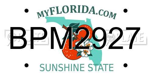 BPM2927 Florida License Plate