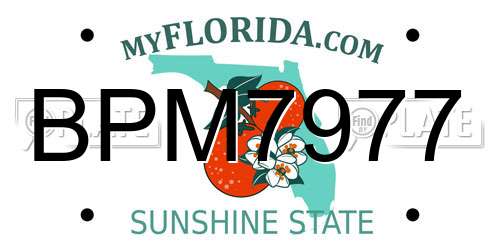 BPM7977 Florida License Plate