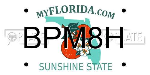 BPM8H Florida License Plate