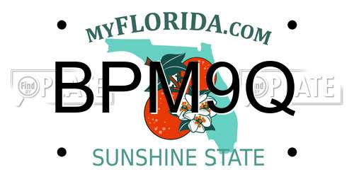 BPM9Q Florida License Plate
