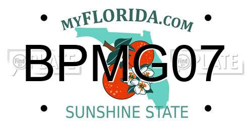 BPMG07 Florida License Plate