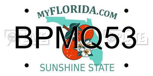 BPMQ53 Florida License Plate