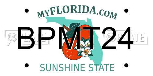 BPMT24 Florida License Plate