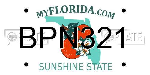 BPN321 Florida License Plate