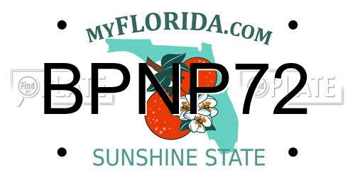 BPNP72 Florida License Plate