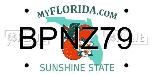 BPNZ79 Florida License Plate