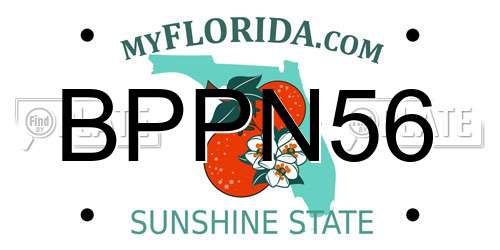 BPPN56 Florida License Plate