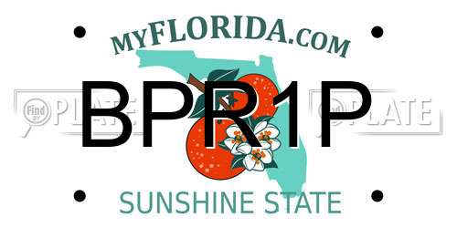 BPR1P Florida License Plate