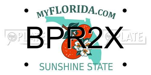 BPR2X Florida License Plate