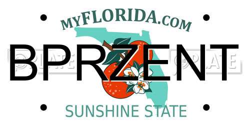 BPRZENT Florida License Plate