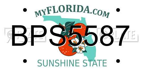 BPS5587 Florida License Plate
