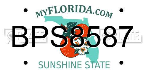 BPS8587 Florida License Plate
