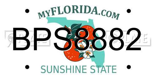 BPS8882 Florida License Plate