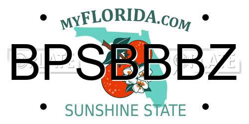 BPSBBBZ Florida License Plate