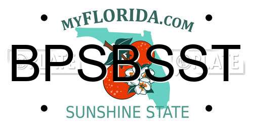 BPSBSST Florida License Plate