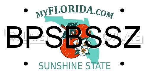BPSBSSZ Florida License Plate
