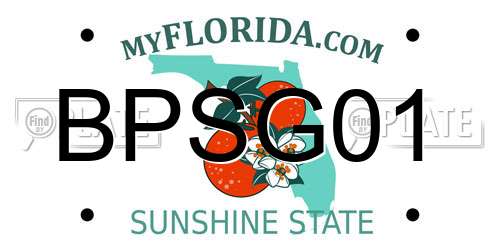 BPSG01 Florida License Plate