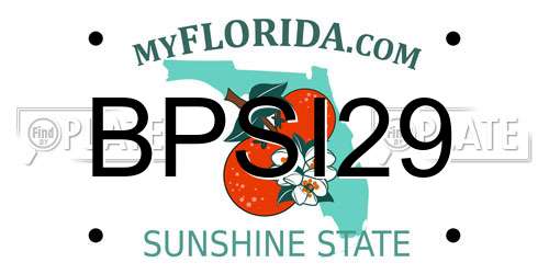 BPSI29 Florida License Plate