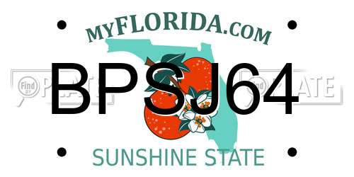 BPSJ64 Florida License Plate