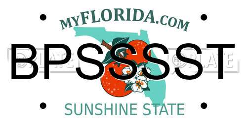 BPSSSST Florida License Plate