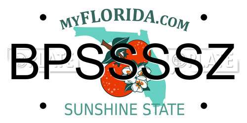 BPSSSSZ Florida License Plate